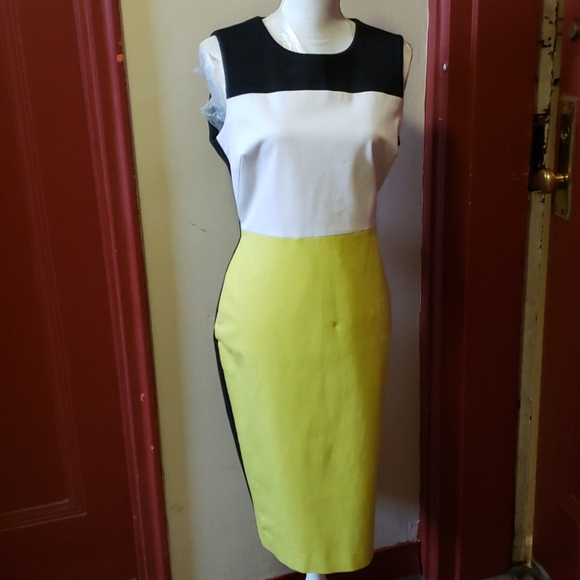 Calvin Klein Dresses & Skirts - Calvin Klein  b7c blk/wht/ citron Dress Size 14
